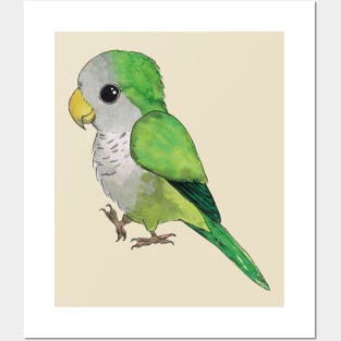 Very cute green parrot Posters and Art